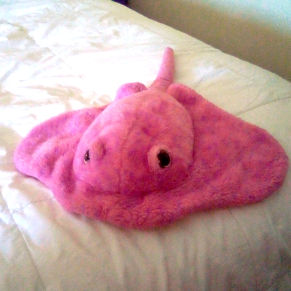 Cute stingray stuffed animal